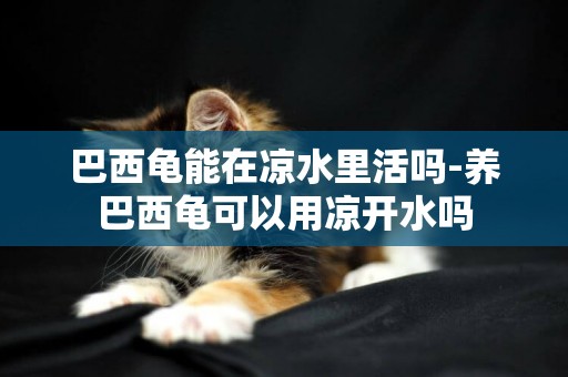 巴西龜能在涼水里活嗎-養巴西龜可以用涼開水嗎
