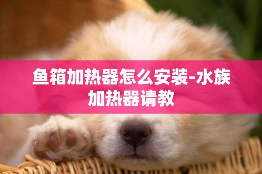 魚箱加熱器怎么安裝-水族加熱器請教
