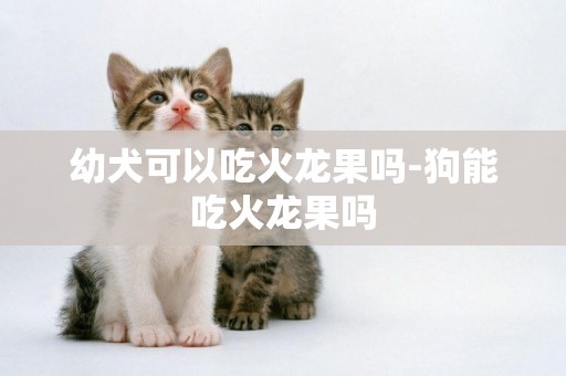 幼犬可以吃火龍果嗎-狗能吃火龍果嗎