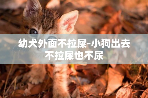 幼犬外面不拉屎-小狗出去不拉屎也不尿