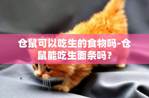 倉鼠可以吃生的食物嗎-倉鼠能吃生面條嗎？