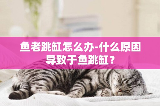 魚老跳缸怎么辦-什么原因導致于魚跳缸？