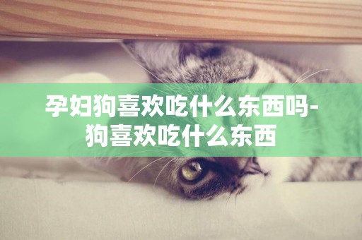 孕婦狗喜歡吃什么東西嗎-狗喜歡吃什么東西