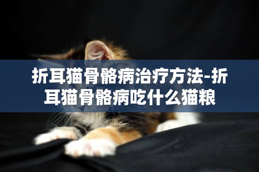 折耳貓骨骼病治療方法-折耳貓骨骼病吃什么貓糧