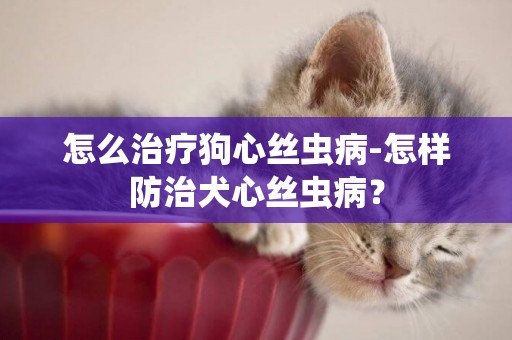 怎么治療狗心絲蟲病-怎樣防治犬心絲蟲病？