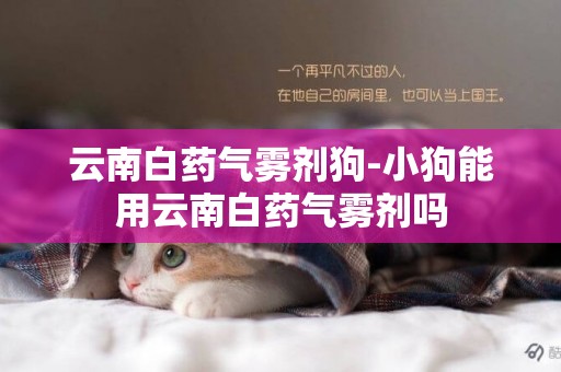 云南白藥氣霧劑狗-小狗能用云南白藥氣霧劑嗎