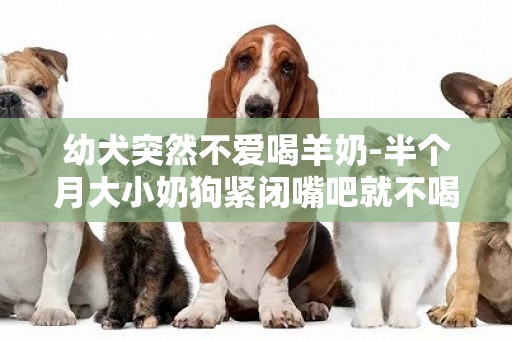 幼犬突然不愛喝羊奶-半個月大小奶狗緊閉嘴吧就不喝羊奶是因為不餓嗎?