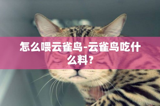 怎么喂云雀鳥-云雀鳥吃什么料？
