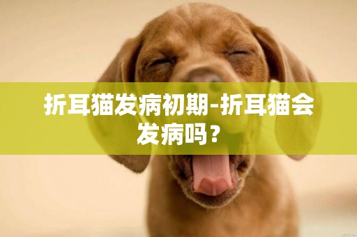 折耳貓發病初期-折耳貓會發病嗎？