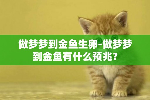 做夢夢到金魚生卵-做夢夢到金魚有什么預兆？