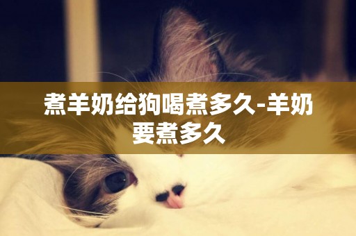 煮羊奶給狗喝煮多久-羊奶要煮多久