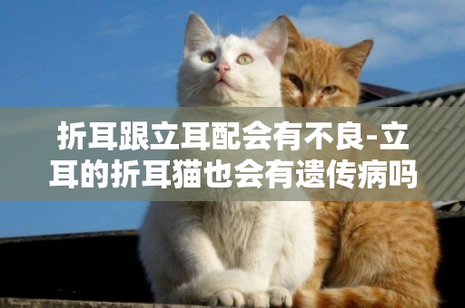 折耳跟立耳配會有不良-立耳的折耳貓也會有遺傳病嗎？