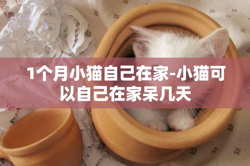 1個月小貓自己在家-小貓可以自己在家呆幾天