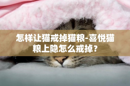 怎樣讓貓戒掉貓糧-喜悅貓糧上隱怎么戒掉？