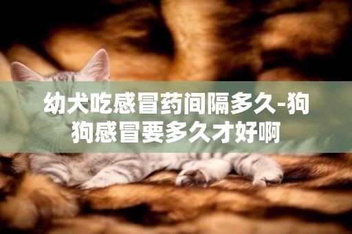 幼犬吃感冒藥間隔多久-狗狗感冒要多久才好啊