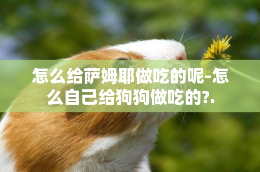 怎么給薩姆耶做吃的呢-怎么自己給狗狗做吃的?.
