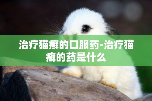 治療貓癬的口服藥-治療貓癬的藥是什么