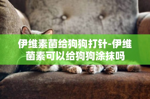 伊維素菌給狗狗打針-伊維菌素可以給狗狗涂抹嗎