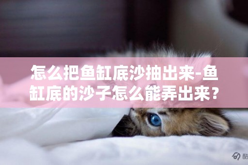 怎么把魚缸底沙抽出來-魚缸底的沙子怎么能弄出來？