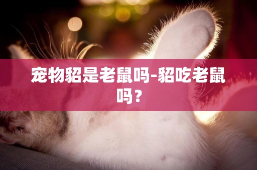 寵物貂是老鼠嗎-貂吃老鼠嗎？