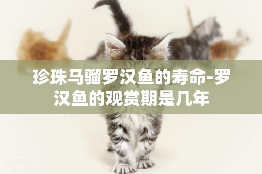 珍珠馬騮羅漢魚的壽命-羅漢魚的觀賞期是幾年