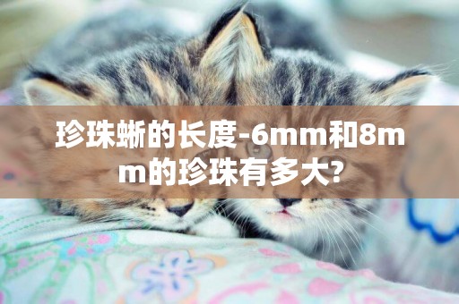 珍珠蜥的長度-6mm和8mm的珍珠有多大?