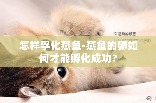 怎樣孚化燕魚-燕魚的卵如何才能孵化成功？