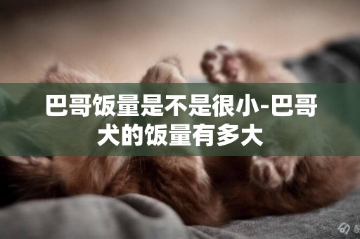 巴哥飯量是不是很小-巴哥犬的飯量有多大