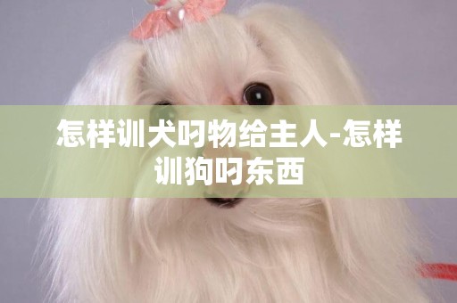 怎樣訓犬叼物給主人-怎樣訓狗叼東西