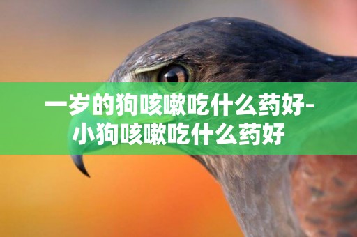 一歲的狗咳嗽吃什么藥好-小狗咳嗽吃什么藥好