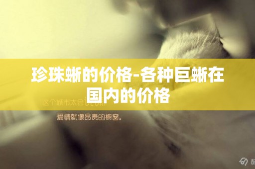 珍珠蜥的價格-各種巨蜥在國內的價格