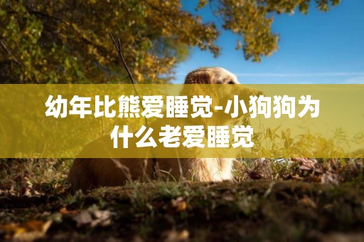 幼年比熊愛睡覺-小狗狗為什么老愛睡覺