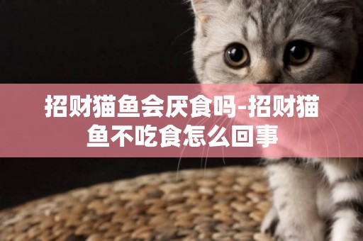 招財貓魚會厭食嗎-招財貓魚不吃食怎么回事