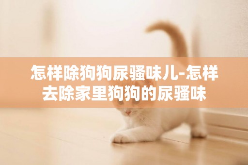 怎樣除狗狗尿騷味兒-怎樣去除家里狗狗的尿騷味