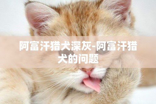 阿富汗獵犬深灰-阿富汗獵犬的問題