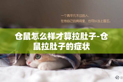 倉鼠怎么樣才算拉肚子-倉鼠拉肚子的癥狀