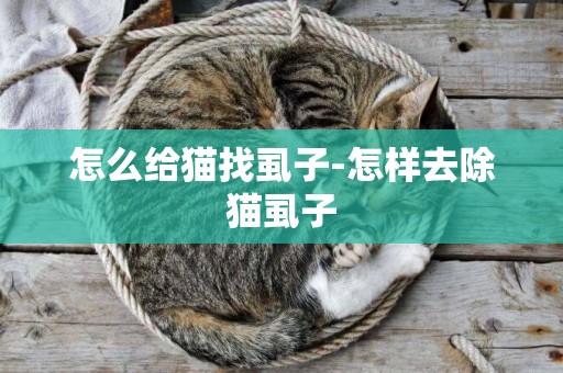 怎么給貓找虱子-怎樣去除貓虱子