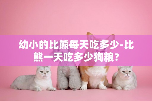 幼小的比熊每天吃多少-比熊一天吃多少狗糧？