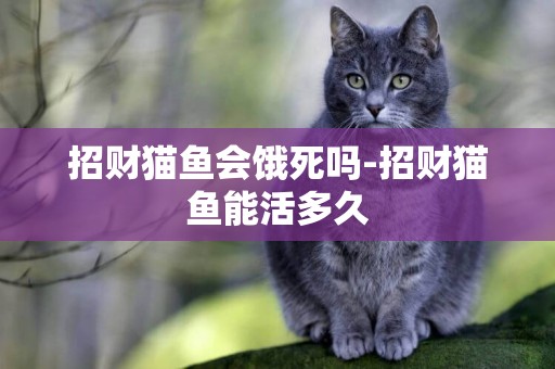 招財貓魚會餓死嗎-招財貓魚能活多久