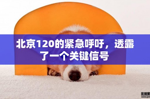 北京120的緊急呼吁，透露了一個關鍵信號 