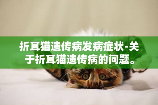 折耳貓遺傳病發病癥狀-關于折耳貓遺傳病的問題。
