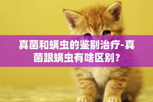 真菌和螨蟲的鑒別治療-真菌跟螨蟲有啥區別？