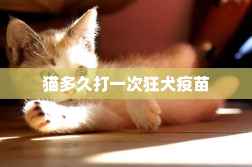 貓多久打一次狂犬疫苗