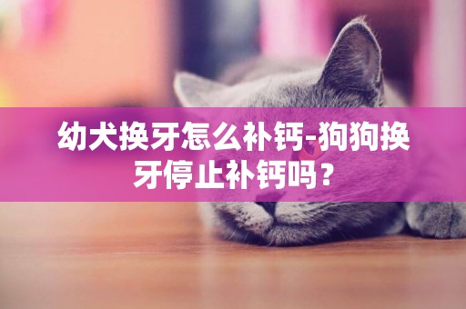 幼犬換牙怎么補鈣-狗狗換牙停止補鈣嗎？