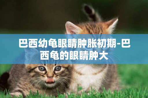 巴西幼龜眼睛腫脹初期-巴西龜的眼睛腫大