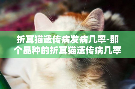 折耳貓遺傳病發病幾率-那個品種的折耳貓遺傳病幾率小