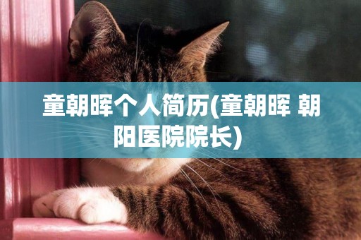 童朝暉個人簡歷(童朝暉 朝陽醫院院長) 