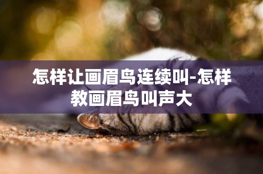 怎樣讓畫眉鳥連續叫-怎樣教畫眉鳥叫聲大