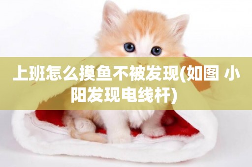 上班怎么摸魚不被發現(如圖 小陽發現電線桿) 