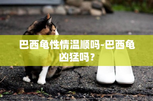巴西龜性情溫順嗎-巴西龜兇猛嗎？